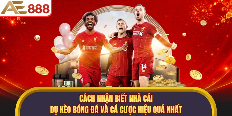 Cách nhận biết nhà cái dụ kèo bóng đá và cá cược hiệu quả nhất